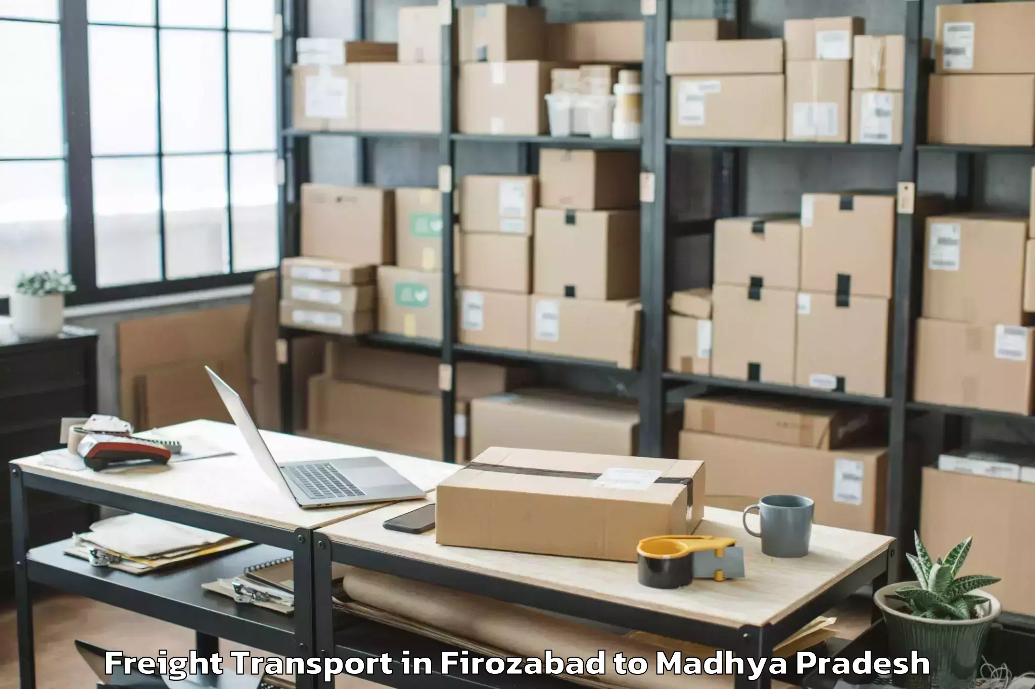 Reliable Firozabad to Lateri Freight Transport